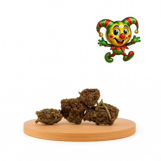 Flor de CBD Harlequin, 15 Gramas