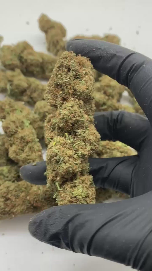Flor de CBD Caramel Candy Premium, 3g